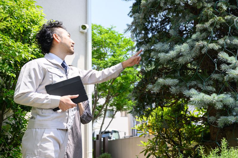 現地で敷地と植栽を確認する担当者